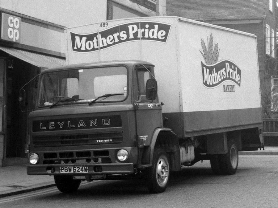  Leyland Terrier 1980 года  (фото 2 из 5)
